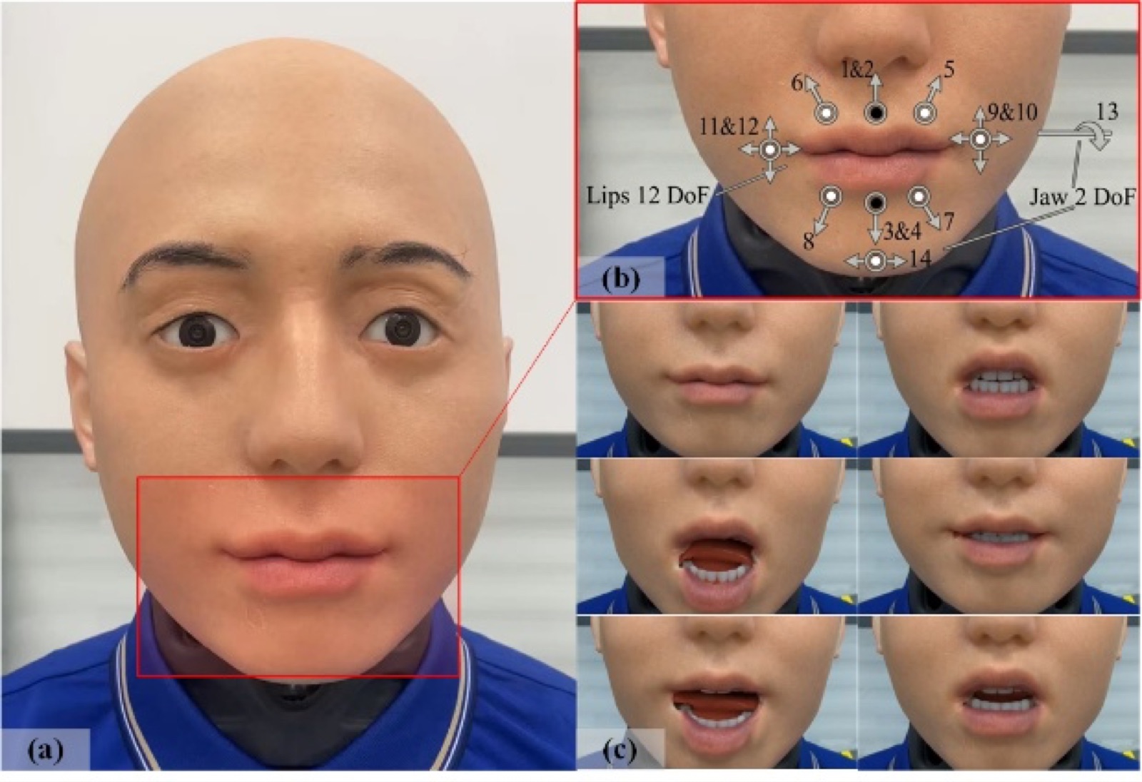 figure image